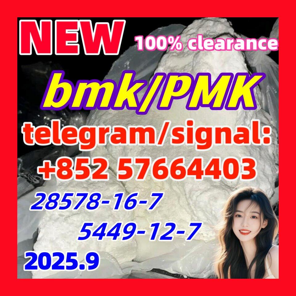 B.M.K 5449-12-7 and P.M.K 28578-16-7 Premium Intermediate Materials Supply