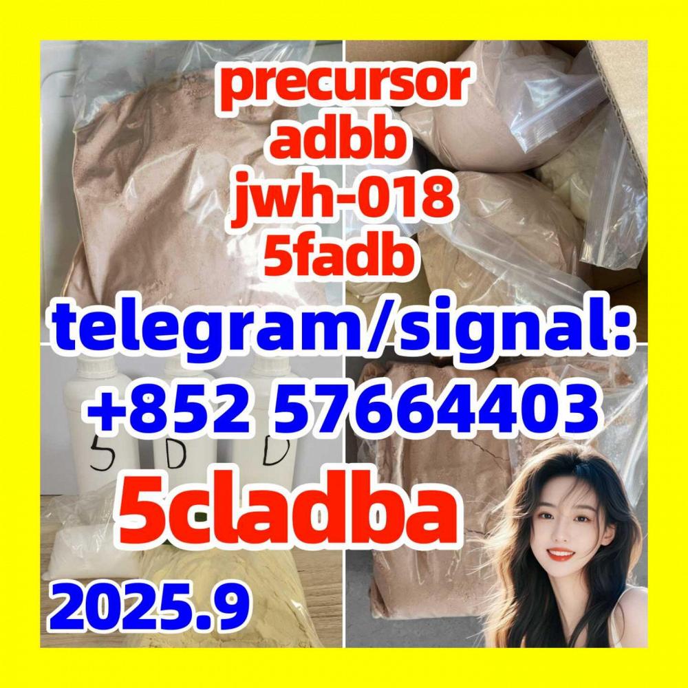 5cladba 5fadb 5cladbb jwh-018 6cladba 68-12-2 109555-87-5 In Stock 5cladbb 7Add