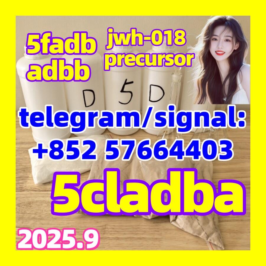 5cladba 5fadb 5cladbb jwh-018 6cladba precursor Raw Materials 1119-51-3 584-08-7