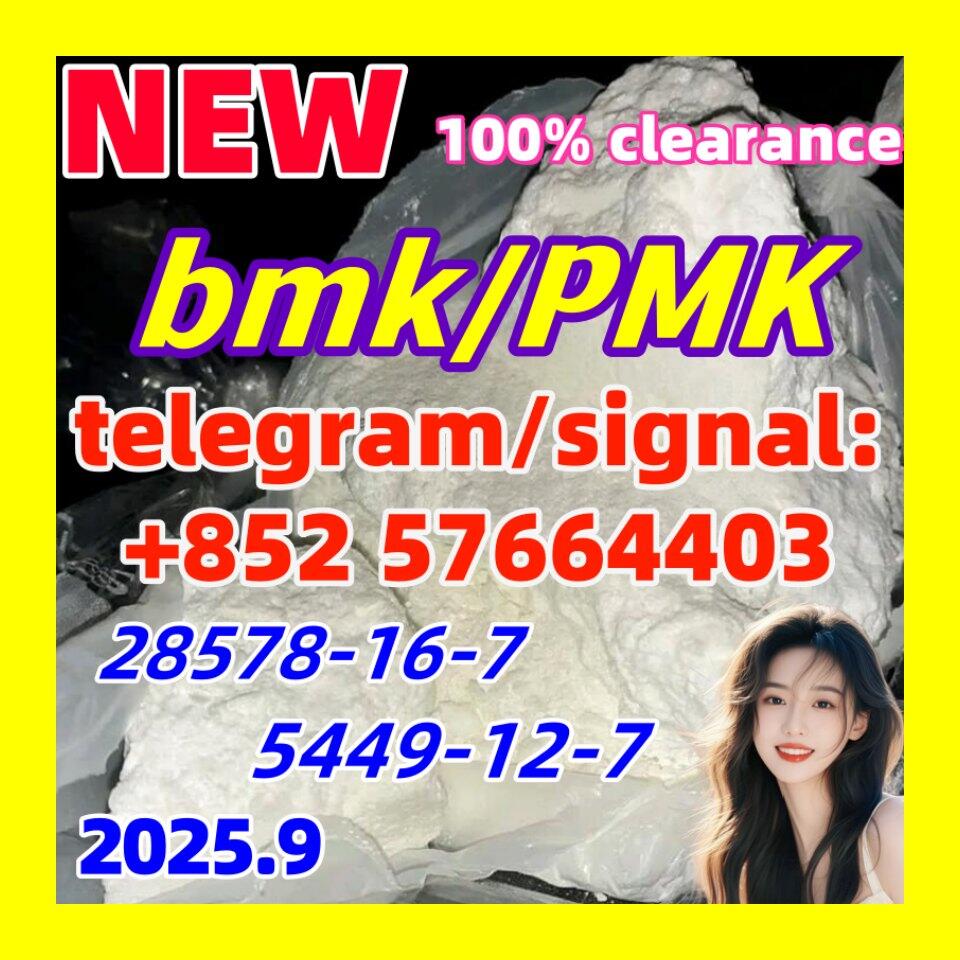 New PMK 28578-16-7 Ethyl Glycidate New BMK 5449-12-7 glycerin acid Powder 10250-28-7