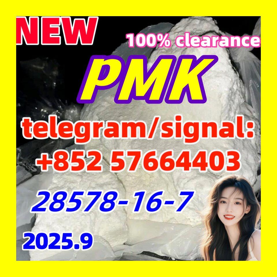New PMK 28578-16-7 Ethyl Glycidate 1451-82-7 51-05-8