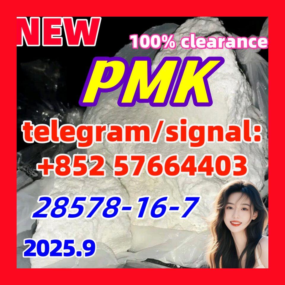 New PMK 28578-16-7 Ethyl Glycidate 1451-82-7 51-05-8