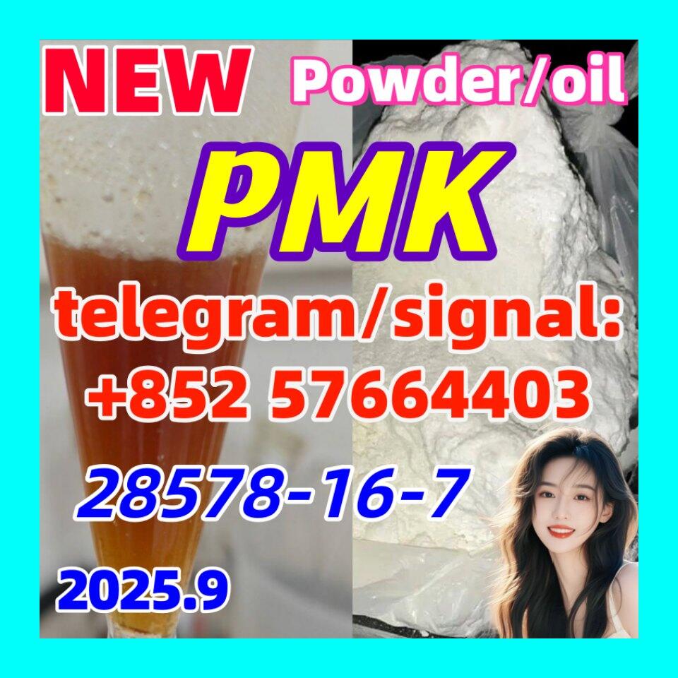 New PMK 28578-16-7 Powder oil Ethyl Glycidate 1451-82-7 51-05-8