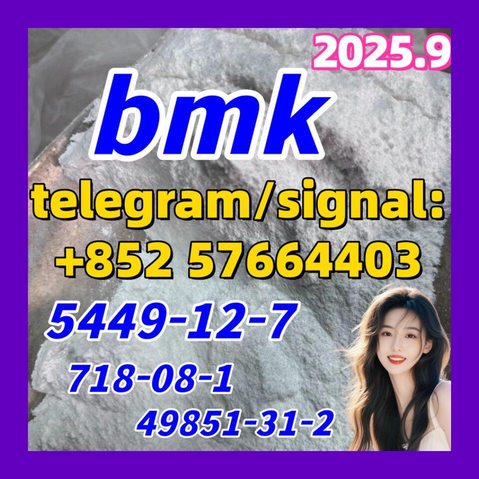 5449-12-7 New BMK Powder glycerin acid 718-08-1 49851-31-2 10250-28-7 103-79-7