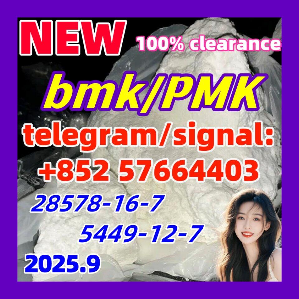 28578-16-7 New PMK Powder oil Ethyl Glycidate 1451-82-7 5449-12-7 New BMK Powder glycerin acid 718-0