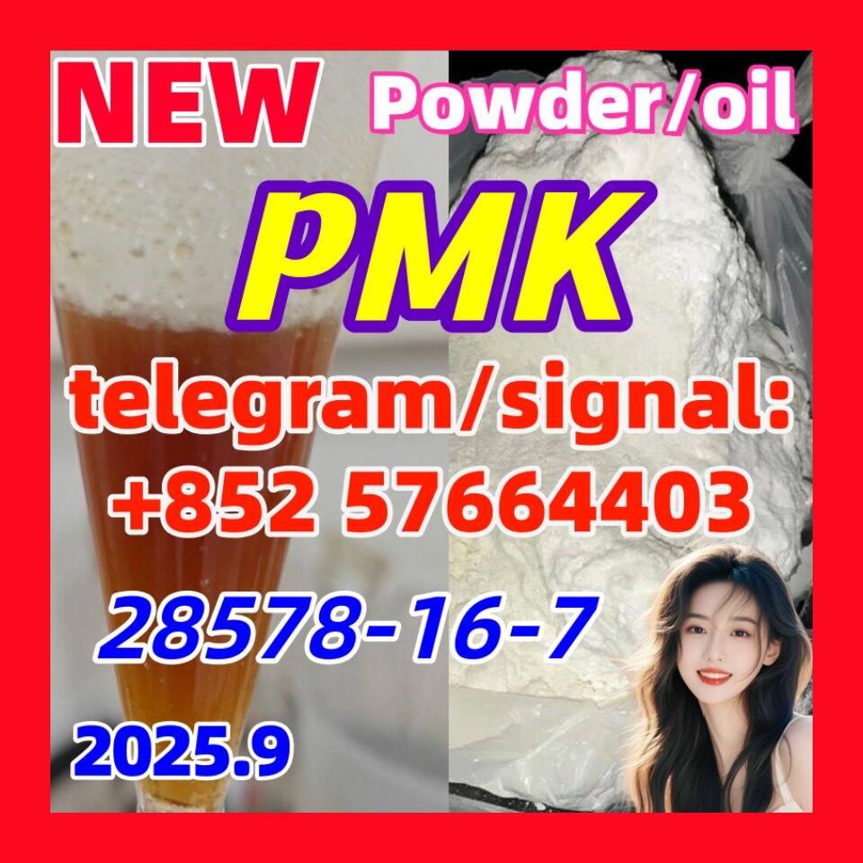 PMK 28578-16-7 New PMK Powder oil Ethyl Glycidate 1451-82-7 51-05-8