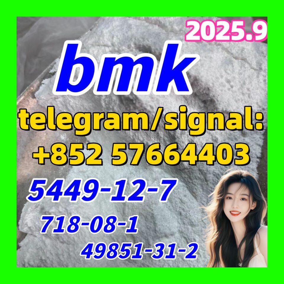 BMK 5449-12-7 New BMK Powder glycerin acid 49851-31-2 10250-28-7 103-79-7 718-08-1