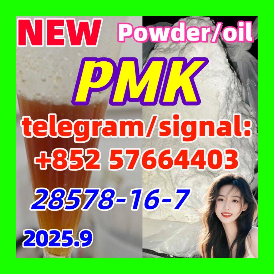 PMK 28578-16-7 New PMK Powder oil Ethyl Glycidate 1451-82-7 51-05-8
