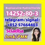 14252-80-3 Bupivacaine Hydrochloride