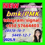 New PMK 28578-16-7 Ethyl Glycidate New BMK 5449-12-7 Powder glycerin acid - Раздел: ВПК, оружие и экипировка