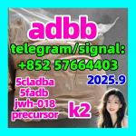 5cladba adbb raw material 5CL-ADB-A precursor 5cladba 5f adb 4fadb - Раздел: Конгломераты