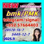 New BMK 5449-12-7 glycerin acid New PMK 28578-16-7 Ethyl Glycidate 1451-82-7 51-05-8 - Раздел: Бытовые товары, хозяйственные товары, товары для дома