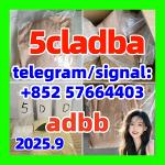 5Cladba 99% Medical Intermediate 5CLADBA