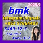 5449-12-7 New BMK Powder glycerin acid 718-08-1 49851-31-2 10250-28-7 103-79-7
