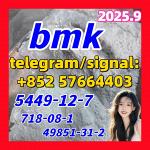 BMK 5449-12-7 New BMK Powder glycerin acid 718-08-1 49851-31-2 10250-28-7 103-79-7