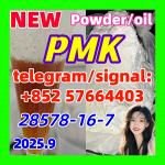 PMK 28578-16-7 New PMK Powder oil Ethyl Glycidate 1451-82-7 51-05-8