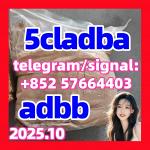5cladba adbb 5fadb jwh-018 1119-51-3 dmf 68-12-2