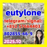 eutylone,mdma,2fdck,cas:802855-66-9, Delivery guaranteed