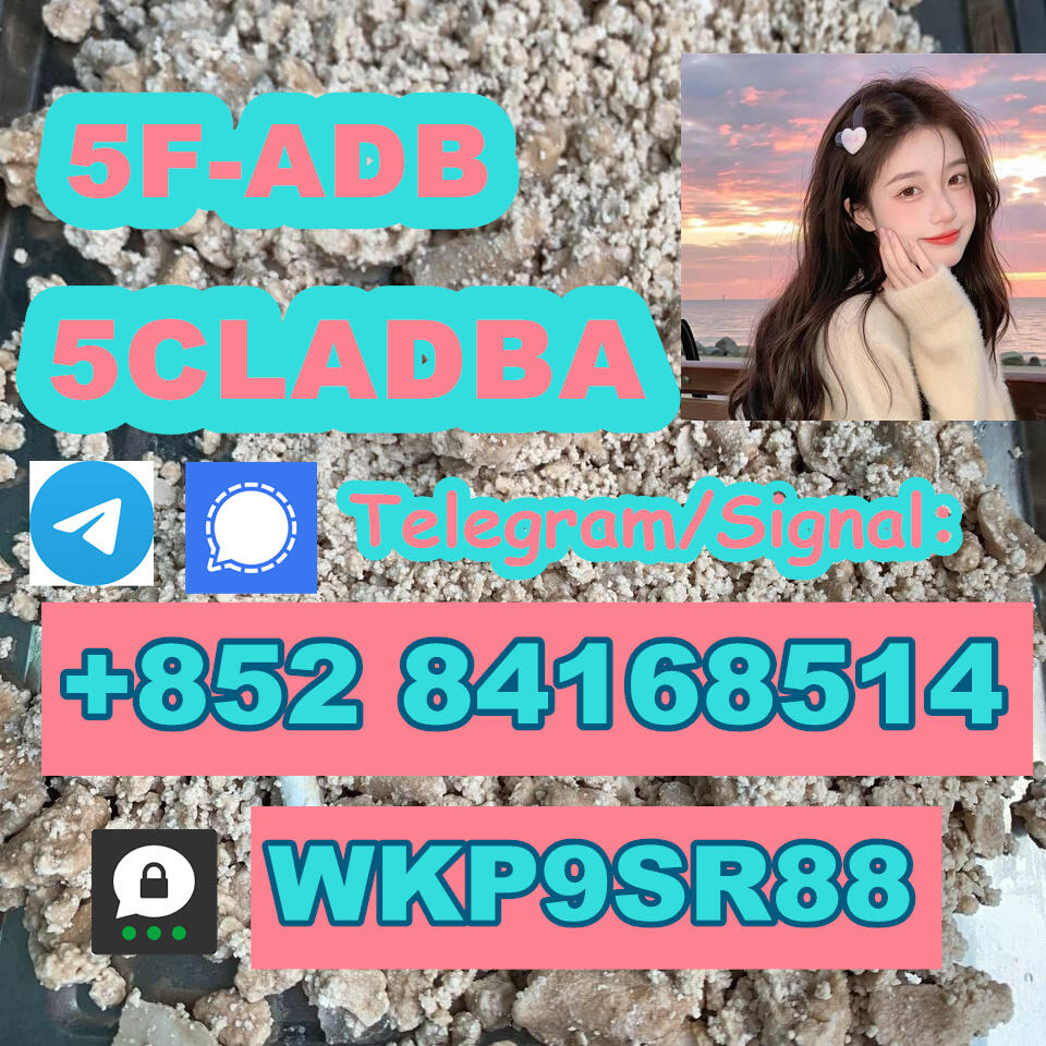 5CL-ADB-A powder Research Chemical 5f-adb 5cladb CBD