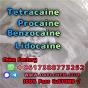 Lidocaine Benzocaine Procaine raw Powder 137-58-6 High Quality