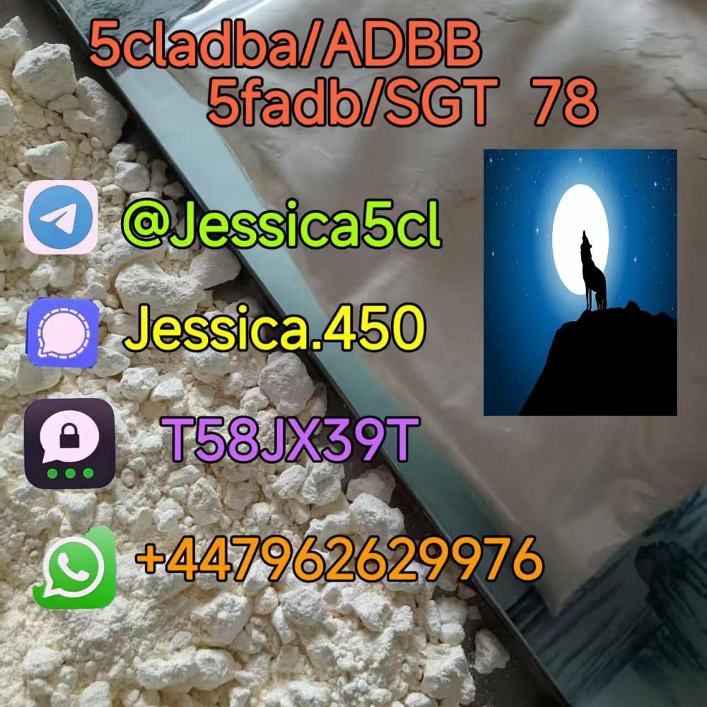 jessica
