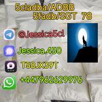 jessica