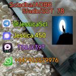 jessica