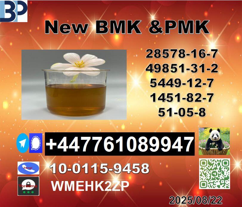 Best price 49851-31-2 B.V.F and 1451-82-7 B-K4/2b4m and 51-05-8 P-rocaine
