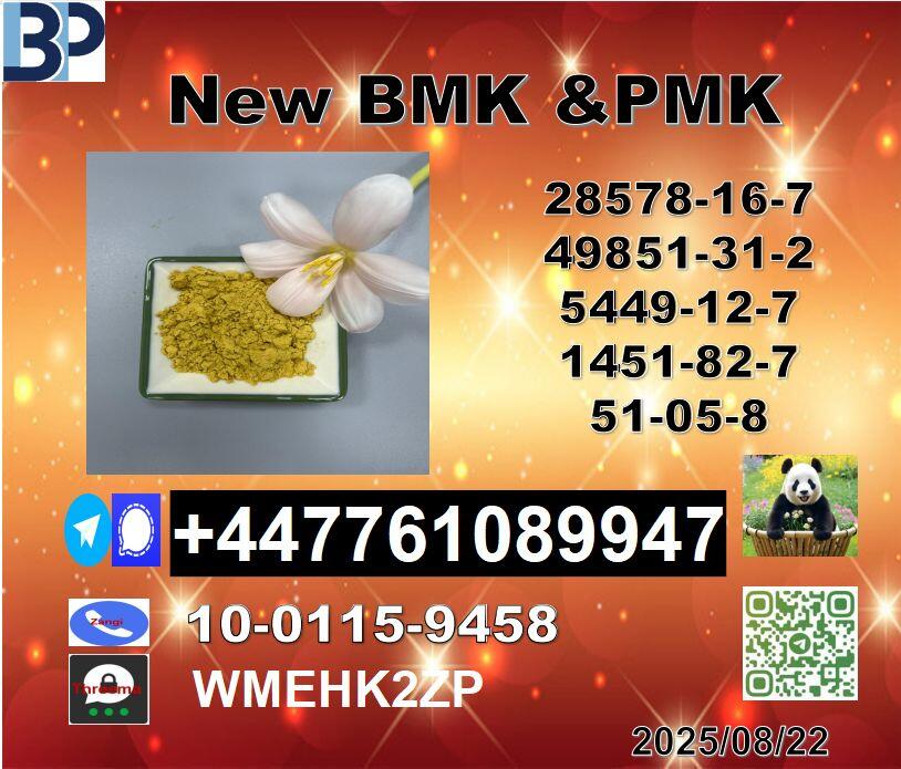 New B.M.K 5449-12-7 P.M.K Powder 28578-16-7 Wholesale Supply
