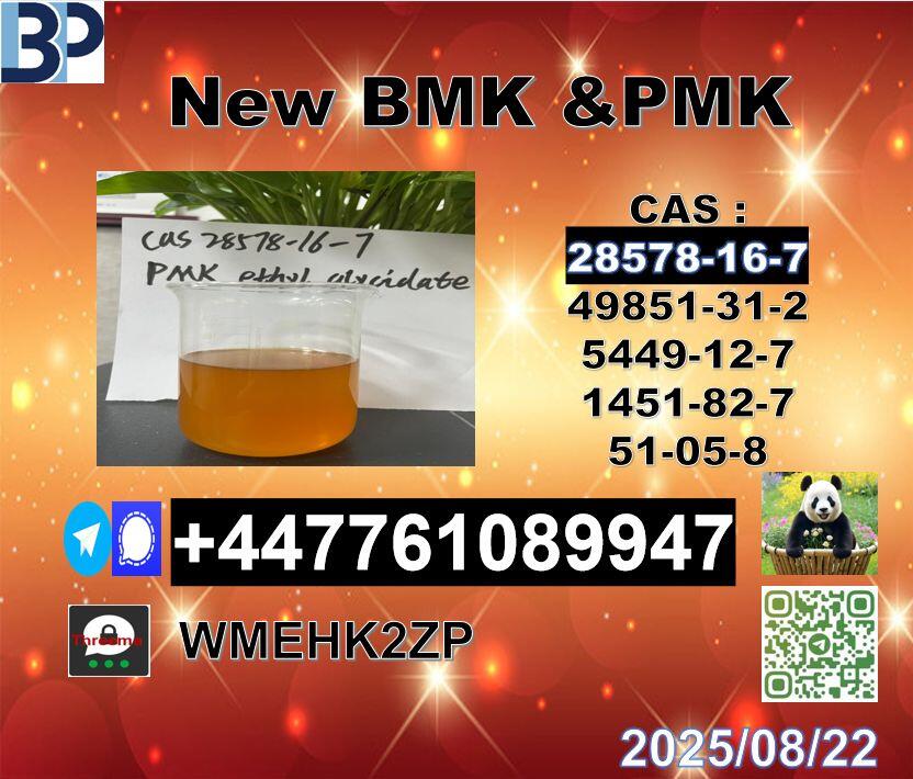 cas 28578-16-7 PMK and cas 5449-12-7 BMK leading Supplier