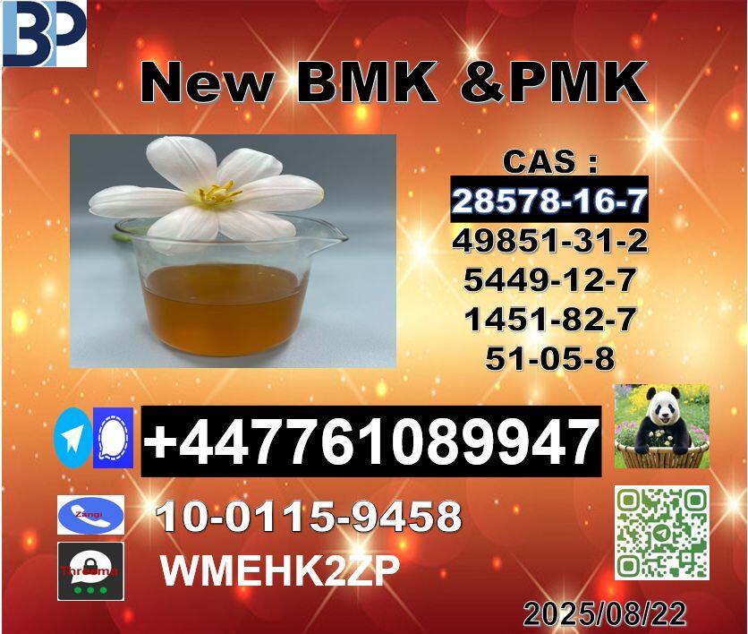 High Purity New PMK powder 28578-16-7 and BMK powder 5449-12-7