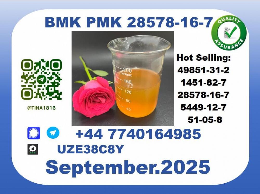 CAS 28578-16-7 BMK PMK Certified Factory Supply