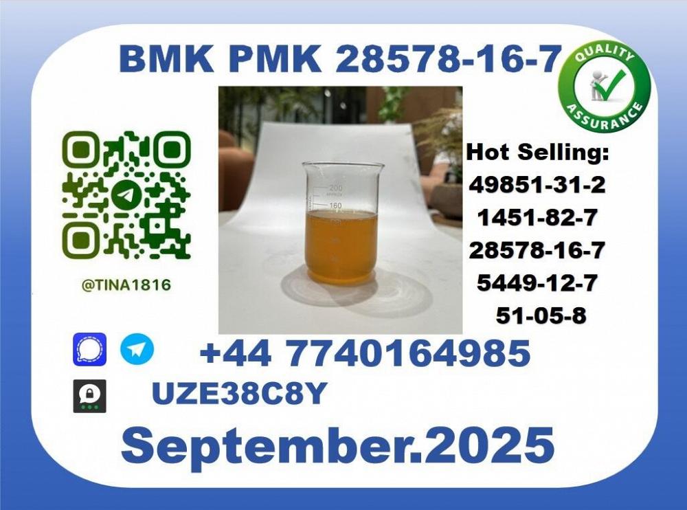 Trusted BMK PMK，CAS 28578-16-7-Precision-Sourced for Industry