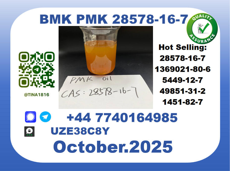 CAS 28578-16-7 PMK Certified Factory Supply