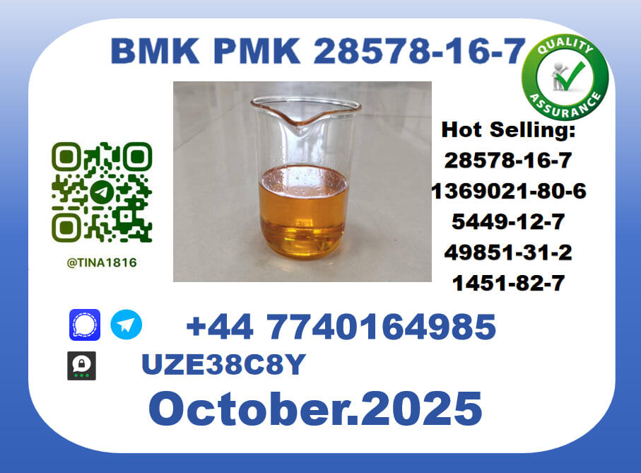 CAS 28578-16-7 PMK Certified Factory Supply