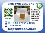 Trusted BMK PMK，CAS 28578-16-7-Precision-Sourced for Industry