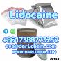 High Quality API Lidocaine base hcl powder 137-58-6