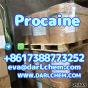 Procaine crystals Powder 59-46-1 Anesthetic Raw