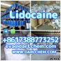 Factory Supply Lidocaine base hcl crystals powder 137-58-6 99% Best Price Pure