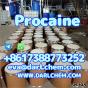 API Local Anaesthesia Procaine crystals Powder 59-46-1