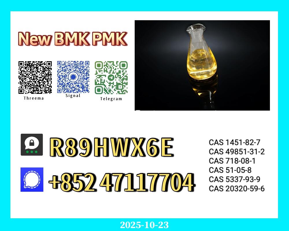 5449-12-7 BMK 49851-31-2 & PMK Powder 28578-16-7