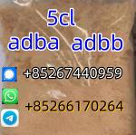 White powder 5cladba 5cladbb 5cl