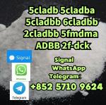 5cladba 5cl precursors 5cl-adb-a 5cladb-a 6cladba k2 powder spice
