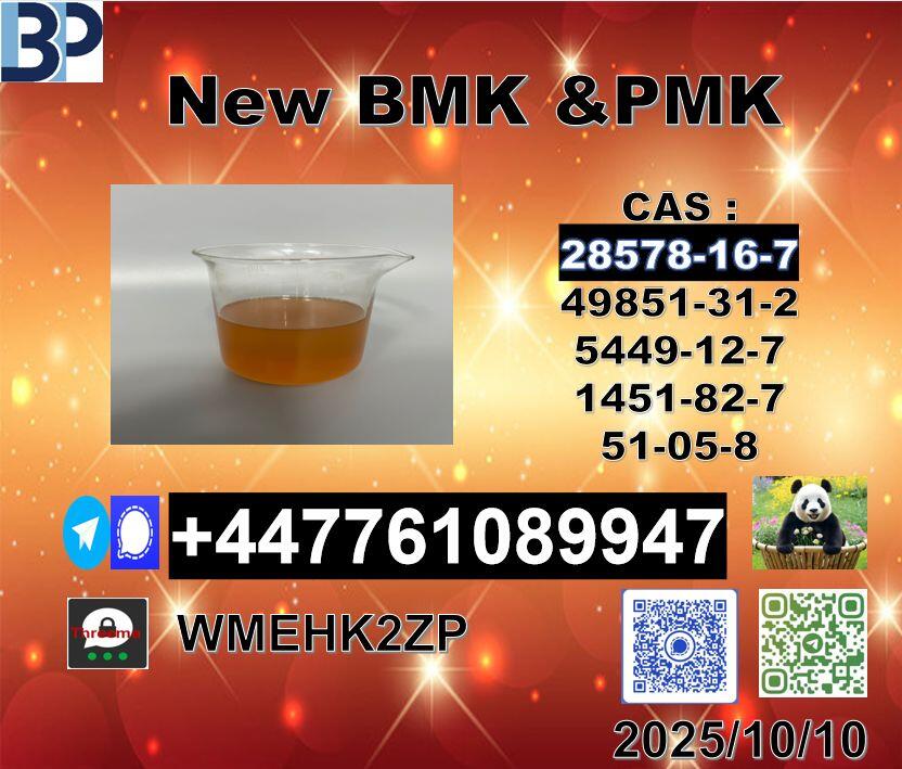 28578-16-7 PMK and 5449-12-7 BMK Powder Premium Grade