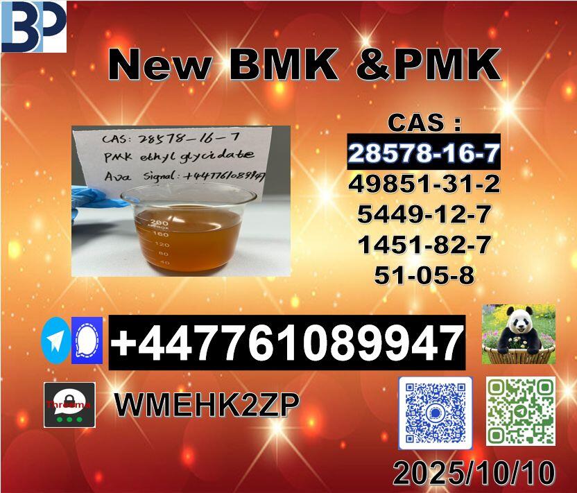 28578-16-7 PMK and 5449-12-7 BMK Powder Premium Grade