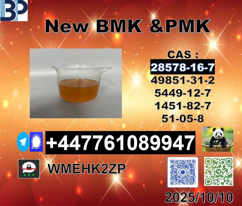 28578-16-7 PMK and 5449-12-7 BMK Powder Premium Grade