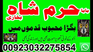 c8 amil baba in australia amil baba in canada amil baba in london amil baba in germany