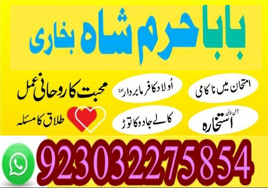 no2 top kala jadu expert specialist in germany kala jadu expert specialist in saudi arabia amil baba
