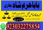 no2 top kala jadu expert specialist in germany kala jadu expert specialist in saudi arabia amil baba