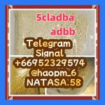 5cladba raw material 5CL-ADB-A precursor raw 5cladba 5f adb